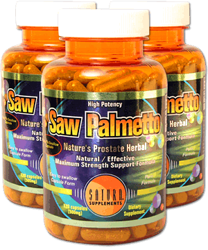 Saw Palmetto